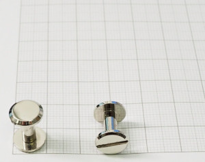 Кобурной винт 10х10 мм. Никель